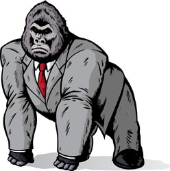 Silverback Projects - How to avoid disaster